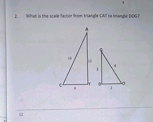 What is the scale factor from triangle CAT to triangle DOG? (Gi... | Filo