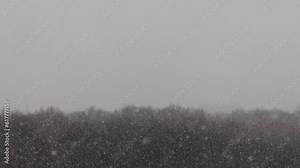 Severe blizzard is in park 4k movie. Weather forecast concept