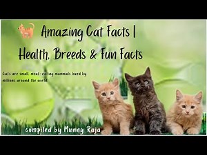 Amazing Cat Facts 🐈 | Health, Breeds & Fun Facts | Educational Video for Pet Lovers 🐾
