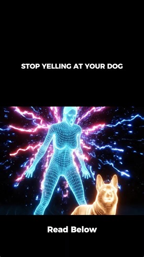 STOP YELLING AT YOUR DOG. Not because you’re a bad person. But because your voice shapes their nervous system more than you realize. 3 reasons yelling quietly damages your dog’s internal balance: 1️⃣ Dogs don’t process yelling as “correction.” They don’t think, “I made a mistake.” They think, “The one I trust just became unpredictable.” A raised voice activates survival mode. Heart rate increases. Muscles tense. Cortisol rises. Even if they stop the behavior… internally, stress has already been 