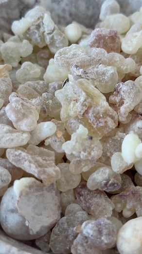 Frankincense Trees: Symbol of Timeless Wisdom and Natural Healing