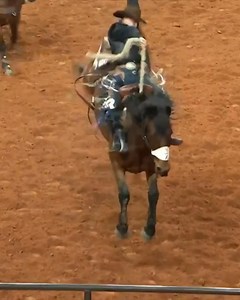 78K views · 2.9K reactions | Entering the 2024 NFR, four bronc riders are averaging 84 or more points... 1. Zeke Thurston - 84.6 2. Damian Brennan - 84.4 T3. Sage Newman - 84.3 T3. Dawson Hay - 84.3 | CowboyChannel | Facebook