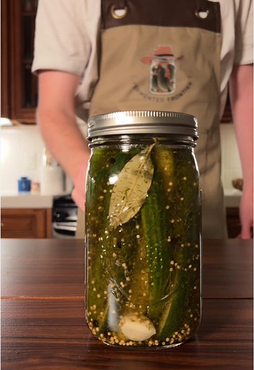 Homemade Fermented Dill Pickle Spears Recipe
