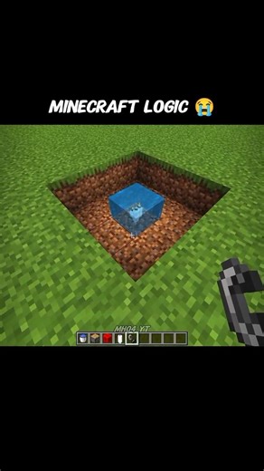 Minecraft Logic Be Like… 🔥💀