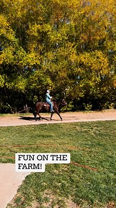 Fall fun on the farm! #FarmKid #Horses #Fall | The Farm on Route 66