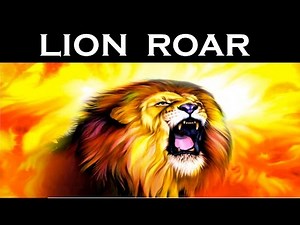 Real Lion Roar Sound Effect | Latest | HD
