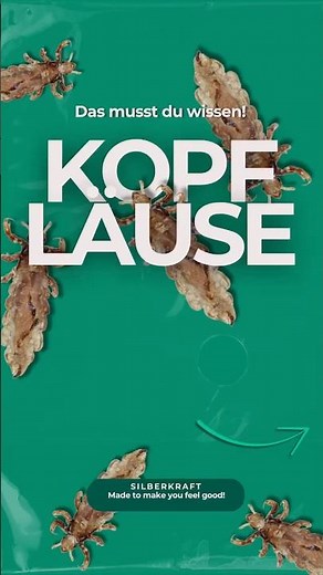 😳 Läusealarm?! Keine Panik! Kopfläuse erkennen, meldepflicht beachten, bekämpfen mit Spray & Shampoo