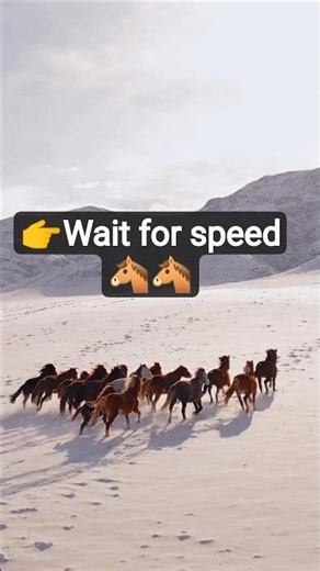 👉 “Wait for the Speed 😳 Running Horse Viral Video” | Beautiful🐎#abcanimals #nature#horse#shorts