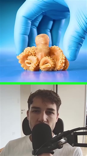 Discover Scorpions Under Ultraviolet Light