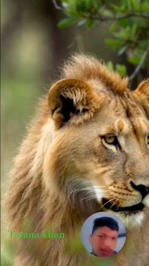 Dame Tu Cosita Crazy Alien Funny Dance Challenge Part_232 Alone Comedy Moves #comdey