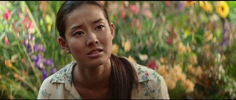 The Shack (2017)