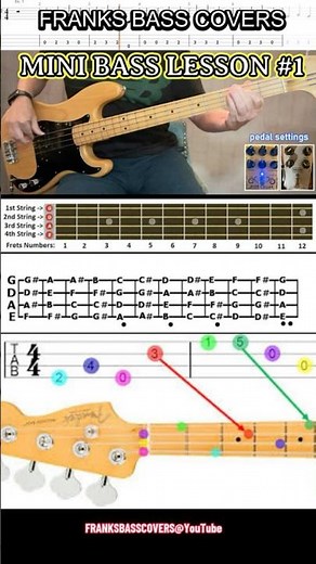 BASS TAB LESSON #1 - FRANKS BASS COVERS - #basslesson #shorts