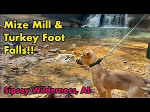 Hiking to Turkey Foot & Mize Mill Falls, Sipsey Wilderness, Alabama