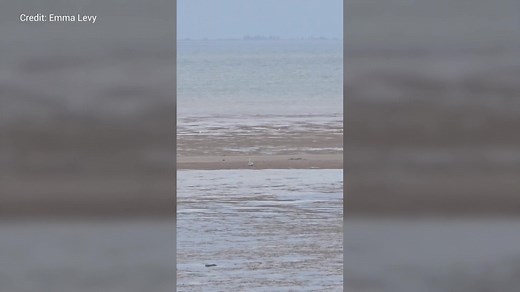 This is the moment a wartime bomb was detonated on a Kent beach… 💣 👇🏻 https://www.kentonline.co.uk/sheerness/news/video-shows-moment-wartime-bomb-detonated-by-army-on-beach-324923/ | KentOnline News