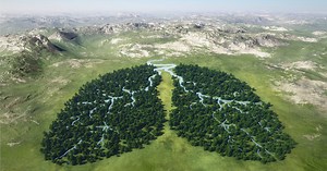 Are you still searching with Google? There is a more eco-friendly alternative: www.Ecosia.org. Give it a try and start planting trees with your searches. | Ecosia