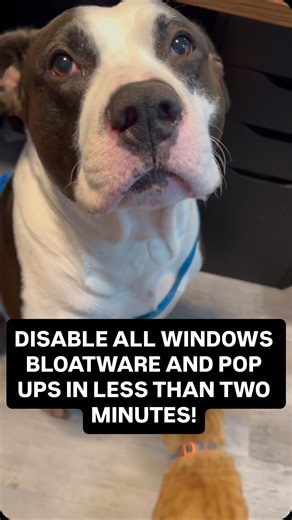 240K views · 2.2K reactions | DISABLE ALL WINDOWS BLOATWARE AND POP UPS IN LESS THAN TWO MINUTES! #pcmasterrace #pc #pcgaming #pctips #pcgamers #pcgamer #techtips | Ponzi's PCs Custom Gaming Computer Services | Facebook