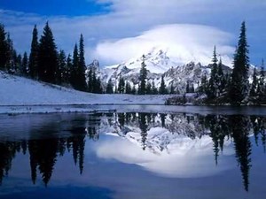 puiu chibici,,,pe drumul catre patria iubiri