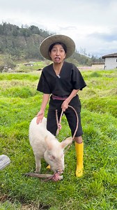 110K views · 2.9K reactions | El nuevo negocio de ashukito  #videoviralシ #reelschallenge #comedia | Ashukito | Facebook