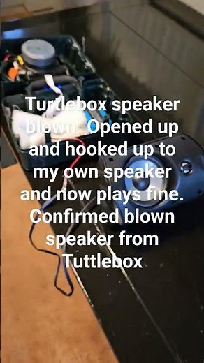 turtlebox speaker blown. happened a few months after owning. confirming my own speaker fixes it