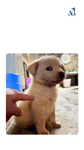 Because peace of mind is priceless. 😌 Let the experts tell you what’s strong and what to fix. #EB1A #GreenCard #Immigration #EB1AExperts #TechProfessionals #ExtraordinaryAbility #CareerFreedom The information provided by EB1A Experts is for educational and informational purposes only. While we strive to offer valuable insights, as we are not a law firm we do not provide legal advice or representation before U.S. immigration authorities.