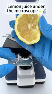 66K views · 949 reactions | Lemon juice at 400X magnification is so cool! #microscope #lemonjuice #magnification | Mir Glazami Microscopa | Facebook