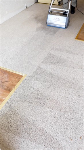 Need a great cleaning in to get your home back in tip-top shape? 朗 Schedule online at https://bit.ly/3j520WO or over the phone at .  | Oxi Fresh Carpet Cleaning | Facebook