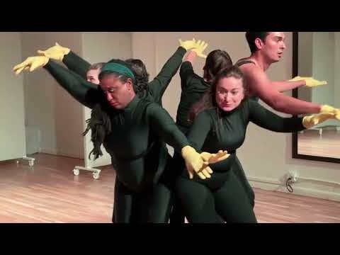 The American Mime Theatre - SOL