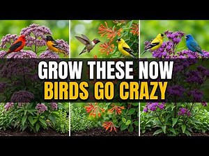 20 Native Plants That Make Birds Go CRAZY — When Planting in Jun (Most People GetThis Wrong)