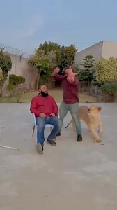 Sohail big animals with fun | Sohail Shoukat