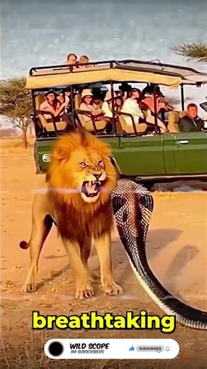 King vs Giant Serpent | Wild Clash Unleashed 🦁🐍🔥 #Shorts #WildLife