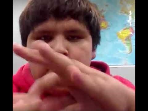 tutorial on how to turn into a paper towel