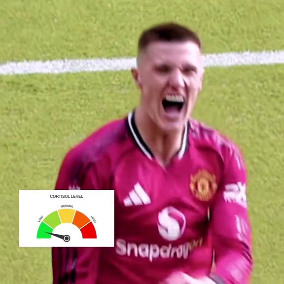 Understanding Effective Decision-Making