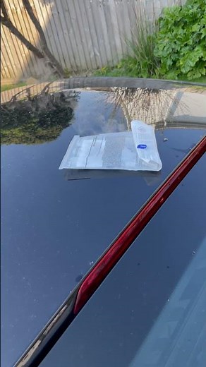 Want To Remove Bird Poop Etchinig/Stains? Try Out Autoglym's Reflow #shorts