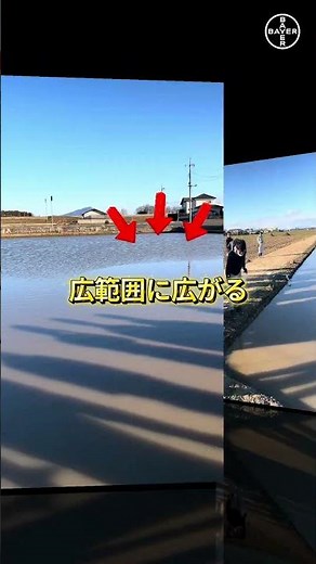 水稲除草剤の新製剤「FG」で省力散布！