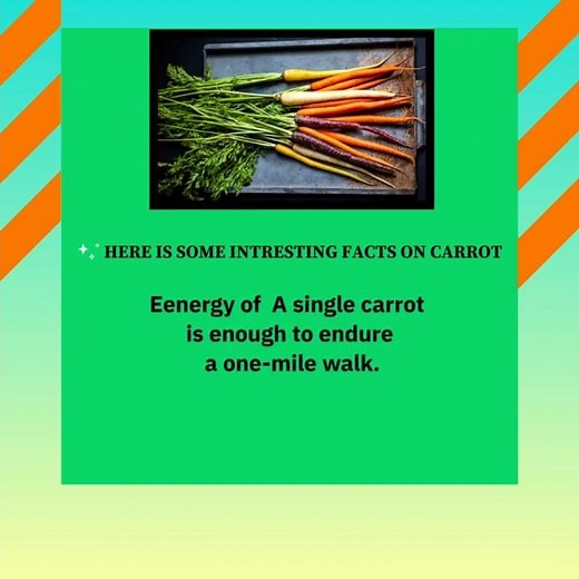 8 Intresting Facts About Carrot You Should Know.