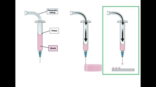 Robotics in Cryopreservation: Improving Precision and Scalability | NSF ERC Advanced Technologies for the Preservation of Biological Systems (ATP-Bio) posted on the topic | LinkedIn