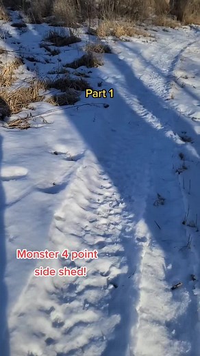 Next Year's Target!#shedhunt #shedhunter#fyp #fypage #foryourpage #viral@druryoutdoors @alex_rutledge @michaelwaddell @tboneoutdoors1