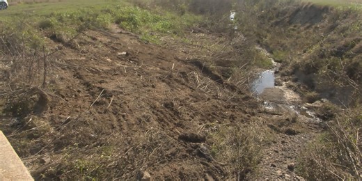 “I hope they get caught”: Questions after deer found dumped in ditch