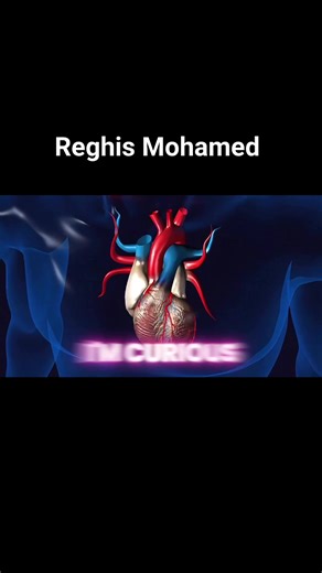 48 reactions | a simple song that many can learn in original version for children or adults, explaining how the heart works. | Mohamed Reghis | Facebook