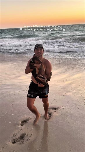 Salty the Kelpie Living Her Best Life