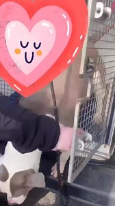 39K views · 1.5K reactions |  MAJOR IS FREE  Major was seized 10...