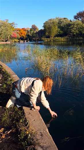Chloé Savard on Instagram: "You joining the party or what? 👀 So happy to be back here with you all 🤍 LETS DIVE IN! In the first clip, you can observe a brown hydra under polarized light! Hydras are Cnidarians, a primitive animal group that includes jellyfish, corals and sea anemones. Hydras have tentacles, a mouth, a digestive track and a foot so they can attach to different substrates, not your face tho so don’t worry! Clip 2 shows a single cell organism, a ciliate named Stichotricha aculeat