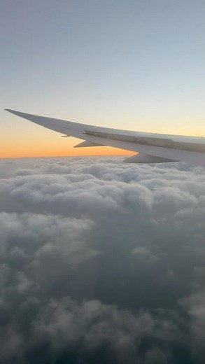 Beautiful view of wing of boeing 787 #windowseatinflight #inflightexperience #boeing787 #aviation