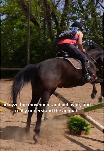 Explore Windstorm: The Legend of Khiimori Horse Game