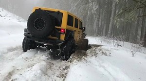 Amazing Cars on Reels