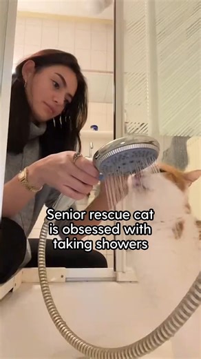 447K views · 8.4K reactions | When senior cat, Willem had his first shower, he became obsessed. We talked to his mom, Dominique, about what it's like to shower with a cat every day Keep up with Willem on TikTok: thedo.do/dominiqueiftekaralikhan, Instagram: thedo.do/Dominiqueiftekaralikhan & YouTube: thedo.do/DominiqueIftekaralikhan. | The Dodo | Facebook