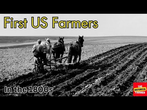 Farming in the Early 1900s (A Historical Journey To Present Day)