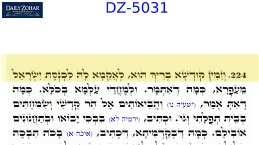Zohar reading for DZ-5031