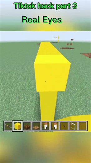 How to Make Realistic Blinking Eyes in Minecraft! 👁️✨