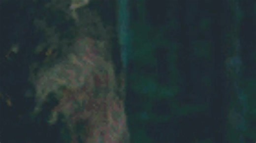 Wolves Tribute #wolves #Song #Music#video